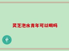 灵芝泡水青年可以喝吗