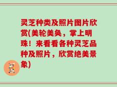 灵芝种类及照片图片欣赏(美轮美奂，掌上明珠！来看看各种灵芝品种及照片，欣赏绝美景象)