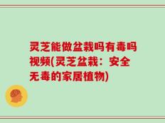 灵芝能做盆栽吗有毒吗视频(灵芝盆栽：安全无毒的家居植物)