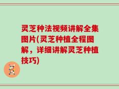 灵芝种法视频讲解全集图片(灵芝种植全程图解，详细讲解灵芝种植技巧)
