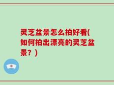 灵芝盆景怎么拍好看(如何拍出漂亮的灵芝盆景？)