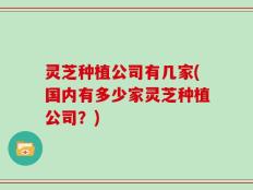 灵芝种植公司有几家(国内有多少家灵芝种植公司？)