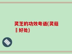 灵芝的功效粤语(灵菇嘅好处)