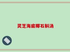 灵芝海底椰石斛汤