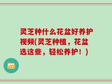 灵芝种什么花盆好养护视频(灵芝种植，花盆选这些，轻松养护！)