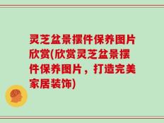 灵芝盆景摆件保养图片欣赏(欣赏灵芝盆景摆件保养图片，打造完美家居装饰)