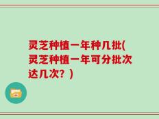 灵芝种植一年种几批(灵芝种植一年可分批次达几次？)