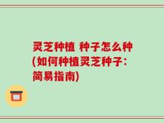 灵芝种植 种子怎么种(如何种植灵芝种子：简易指南)