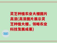 灵芝种植农业大棚图片高清(高清图片展示灵芝种植大棚，领略农业科技发展成果)
