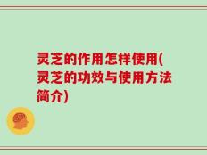 灵芝的作用怎样使用(灵芝的功效与使用方法简介)