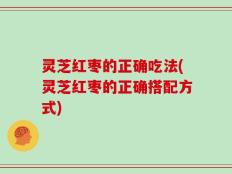 灵芝红枣的正确吃法(灵芝红枣的正确搭配方式)
