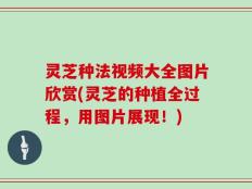 灵芝种法视频大全图片欣赏(灵芝的种植全过程，用图片展现！)