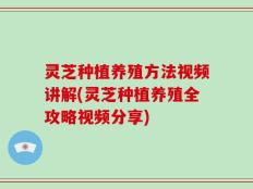 灵芝种植养殖方法视频讲解(灵芝种植养殖全攻略视频分享)