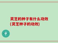 灵芝的种子有什么功效(灵芝种子的功效)