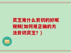 灵芝用什么剪切的好呢视频(如何用正确的方法剪切灵芝？)