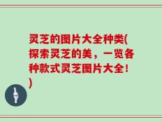 灵芝的图片大全种类(探索灵芝的美，一览各种款式灵芝图片大全！)