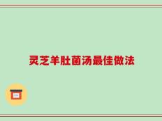 灵芝羊肚菌汤最佳做法