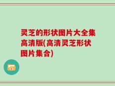 灵芝的形状图片大全集高清版(高清灵芝形状图片集合)