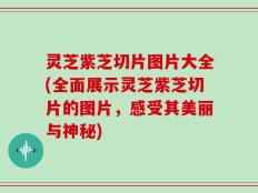 灵芝紫芝切片图片大全(全面展示灵芝紫芝切片的图片，感受其美丽与神秘)