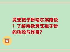 灵芝孢子粉哈尔滨南极？了解南极灵芝孢子粉的功效与作用？