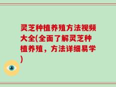 灵芝种植养殖方法视频大全(全面了解灵芝种植养殖，方法详细易学)
