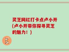 灵芝网红打卡点卢小开(卢小开带你探寻灵芝的魅力！)
