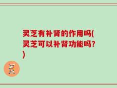 灵芝有补肾的作用吗(灵芝可以补肾功能吗？)