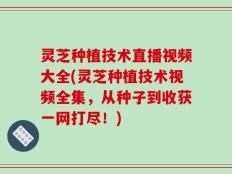 灵芝种植技术直播视频大全(灵芝种植技术视频全集，从种子到收获一网打尽！)