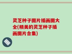 灵芝种子图片插画图大全(精美的灵芝种子插画图片合集)