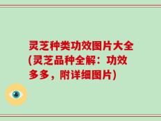 灵芝种类功效图片大全(灵芝品种全解：功效多多，附详细图片)
