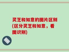 灵芝和如意的图片区别(区分灵芝和如意，看图识别)