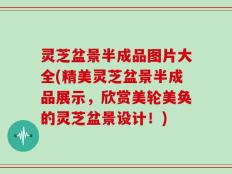 灵芝盆景半成品图片大全(精美灵芝盆景半成品展示，欣赏美轮美奂的灵芝盆景设计！)
