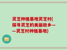 灵芝种植基地灵芝村(探寻灵芝的美丽故乡——灵芝村种植基地)