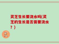 灵芝生长要浇水吗(灵芝的生长是否需要浇水？)