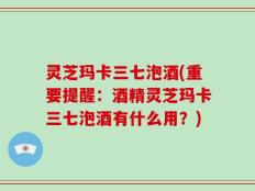 灵芝玛卡三七泡酒(重要提醒：酒精灵芝玛卡三七泡酒有什么用？)