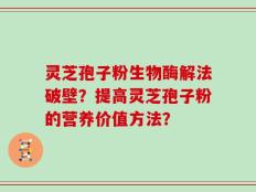 灵芝孢子粉生物酶解法破壁？提高灵芝孢子粉的营养价值方法？