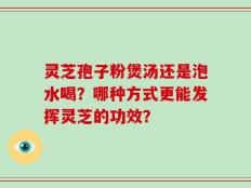 灵芝孢子粉煲汤还是泡水喝？哪种方式更能发挥灵芝的功效？