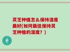 灵芝种植怎么保持湿度最好(如何最佳保持灵芝种植的湿度？)