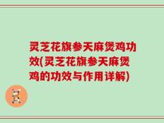灵芝花旗参天麻煲鸡功效(灵芝花旗参天麻煲鸡的功效与作用详解)
