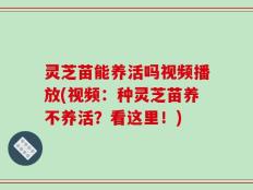 灵芝苗能养活吗视频播放(视频：种灵芝苗养不养活？看这里！)