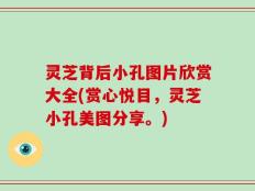 灵芝背后小孔图片欣赏大全(赏心悦目，灵芝小孔美图分享。)