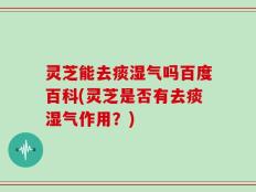 灵芝能去痰湿气吗百度百科(灵芝是否有去痰湿气作用？)