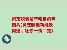 灵芝胶囊是干啥用的啊图片(灵芝胶囊功能及用途，让你一清二楚)