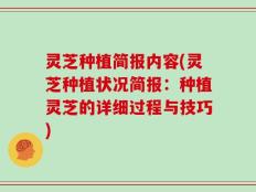 灵芝种植简报内容(灵芝种植状况简报：种植灵芝的详细过程与技巧)