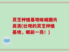 灵芝种植基地吸睛图片高清(壮观的灵芝种植基地，眼前一亮！)