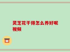 灵芝花干得怎么养好呢视频