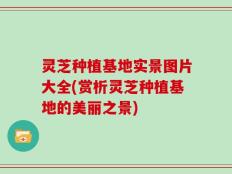 灵芝种植基地实景图片大全(赏析灵芝种植基地的美丽之景)