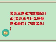 灵芝王煮水功效搭配什么(灵芝王与什么搭配煮水最佳？功效出众！)