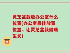 灵芝盆栽放办公室什么位置(办公室最佳放置位置，让灵芝盆栽健康生长)