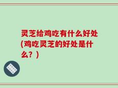 灵芝给鸡吃有什么好处(鸡吃灵芝的好处是什么？)